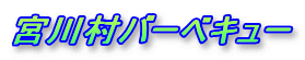 宮川村バーベキュー
